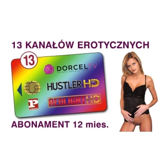 Elite HD Fusion 10+ (13 kanałów / 12 miesięcy)